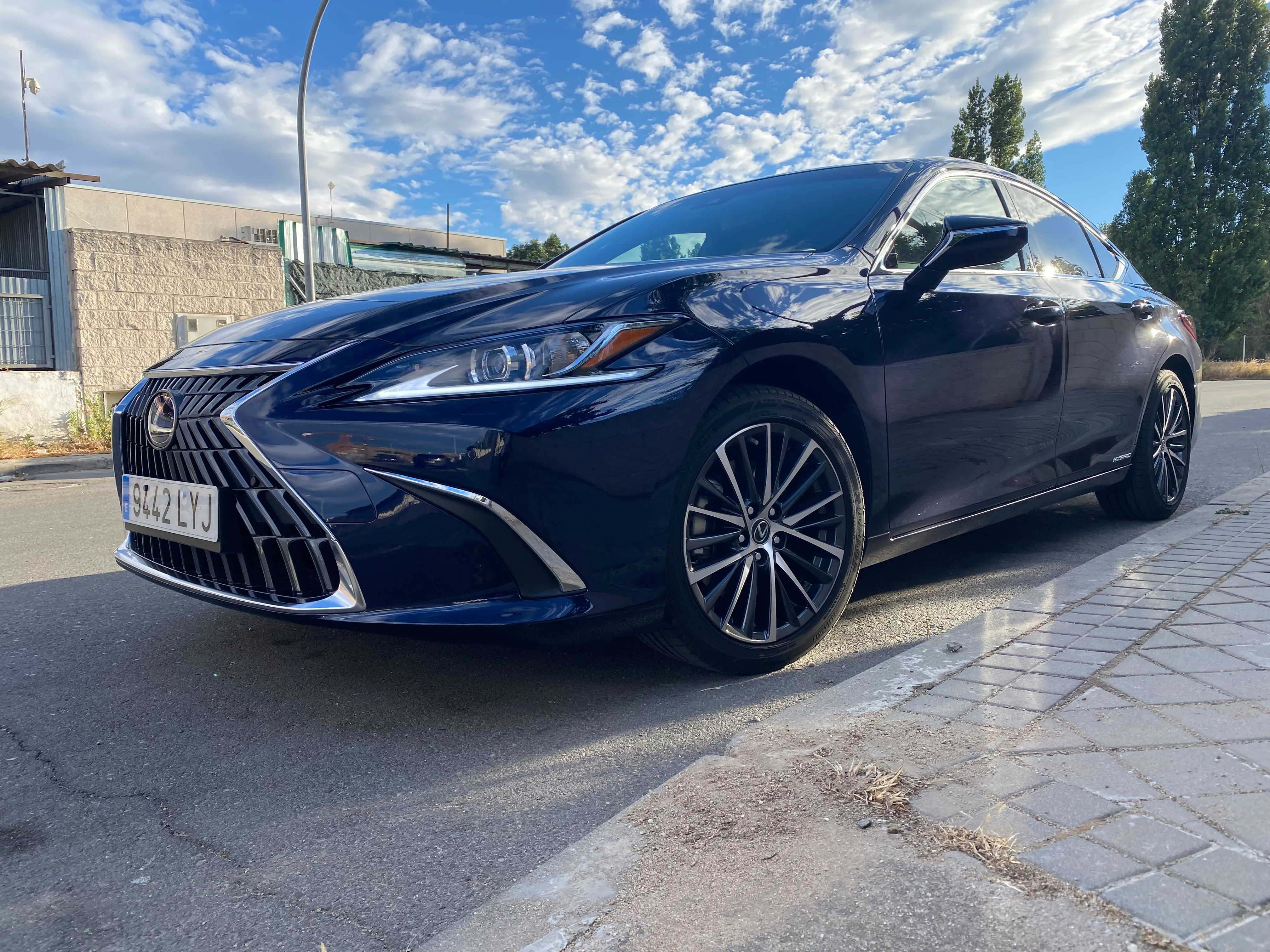 Lexus ES 300h detail