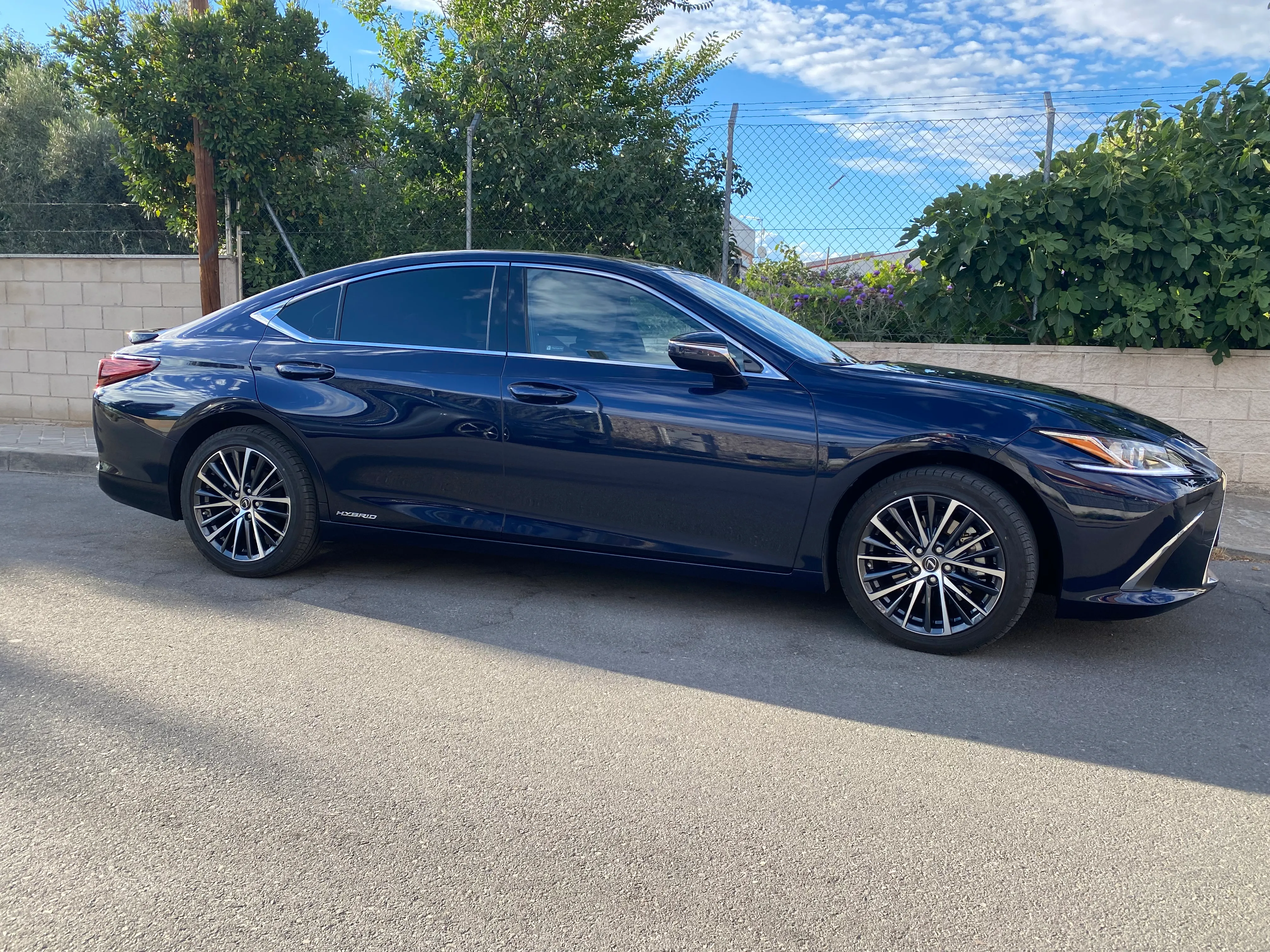 Lexus ES 300h side view